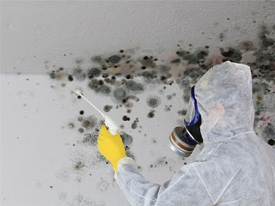 Water Damage 2 1